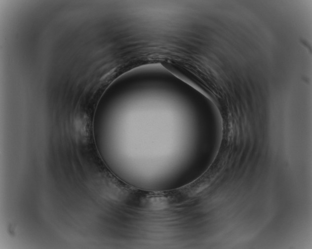 X0000092100228200709121550