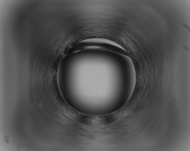 X0000092100229200709121550