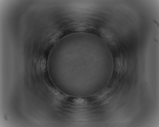 X0000092100230200709121550