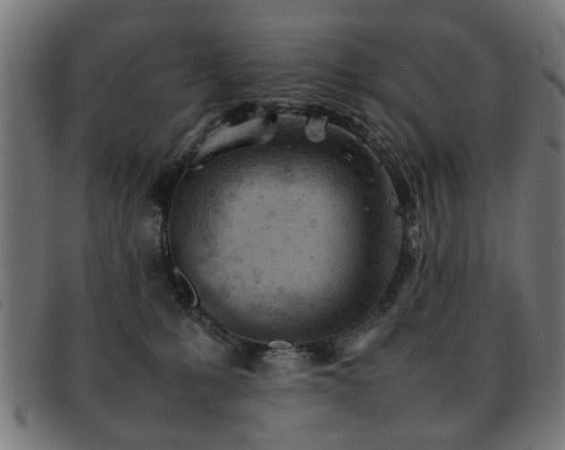 X0000092100231200709121550