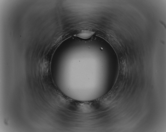 X0000092100232200709121550