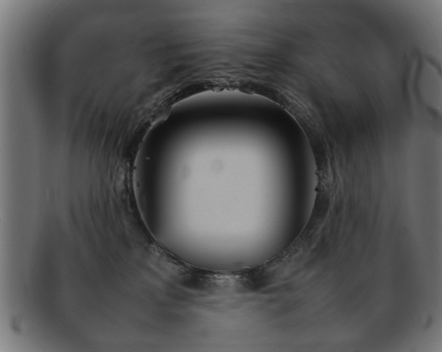 X0000092100233200709121550