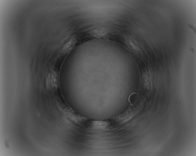 X0000092100234200709121550