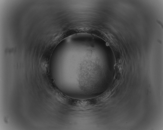 X0000092100235200709121550