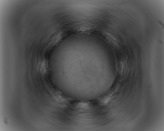 X0000092100236200709121550