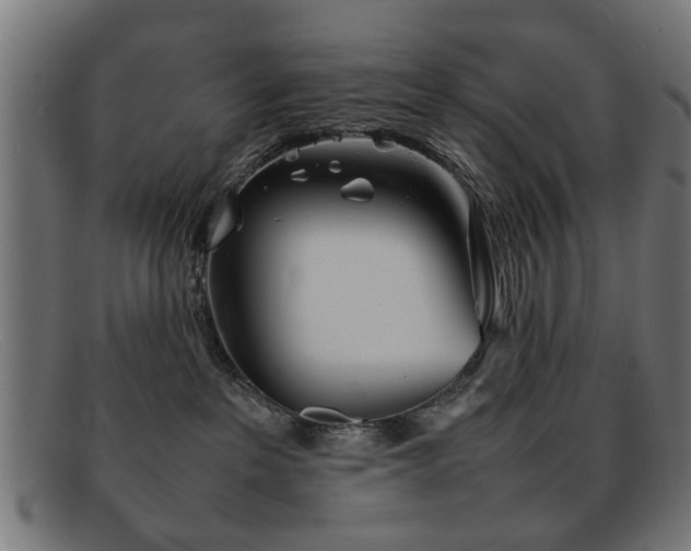 X0000092100237200709121550