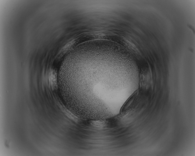 X0000092100238200709121550