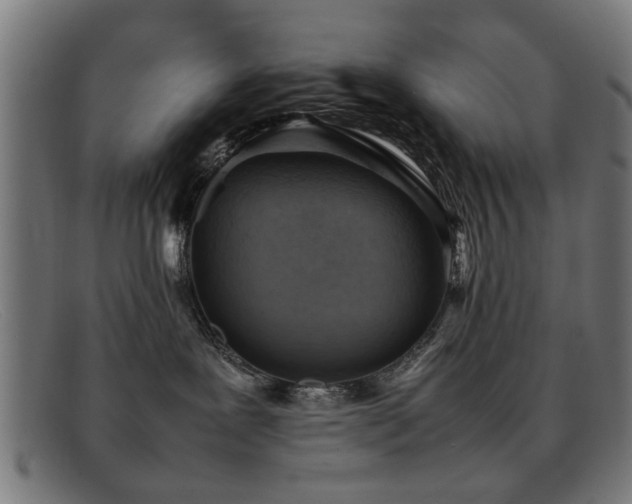 X0000092100239200709121550