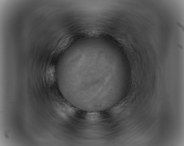 X0000092100240200709121550