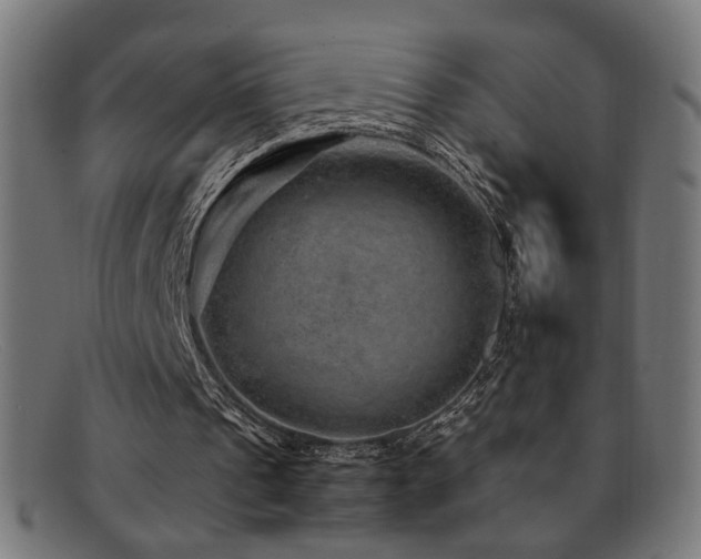 X0000092100241200709121549