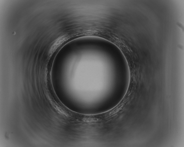 X0000092100242200709121549