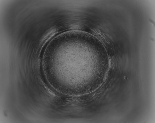 X0000092100243200709121549