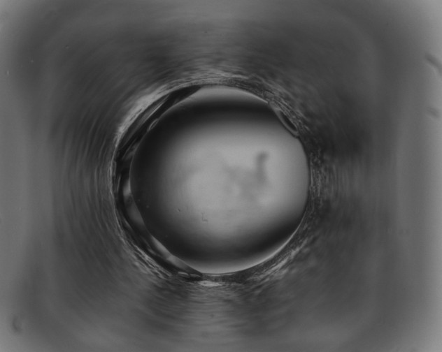 X0000092100244200709121549