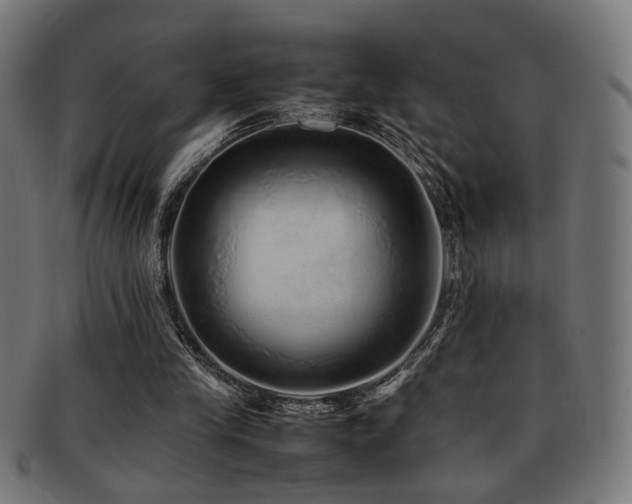 X0000092100245200709121549