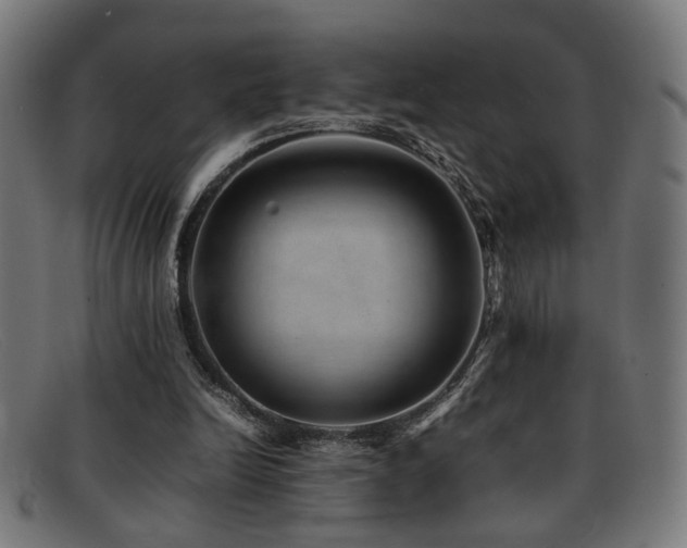 X0000092100246200709121549