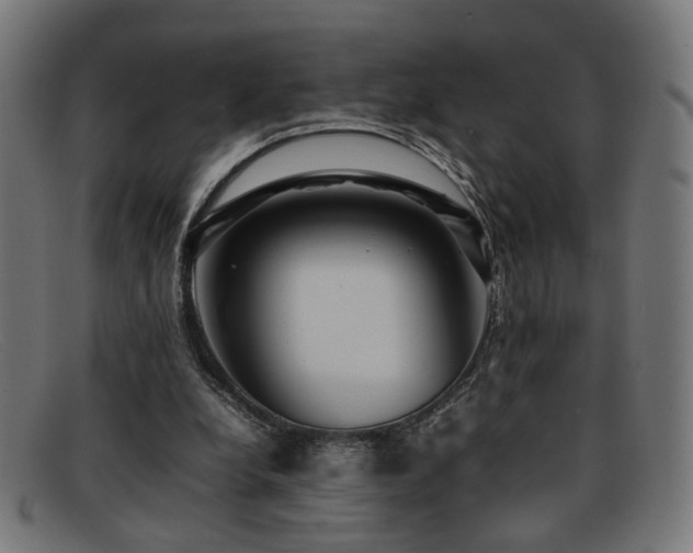 X0000092100248200709121549