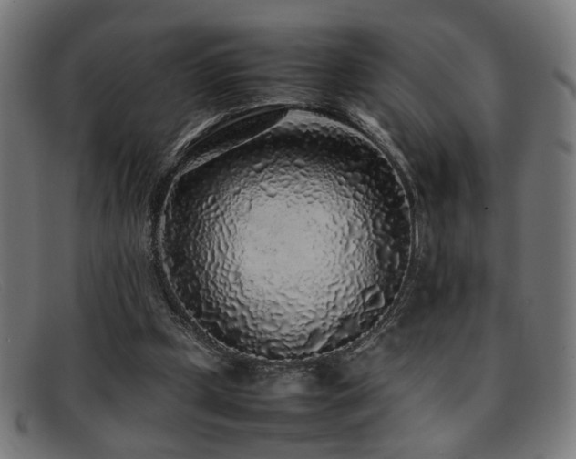 X0000092100249200709121549