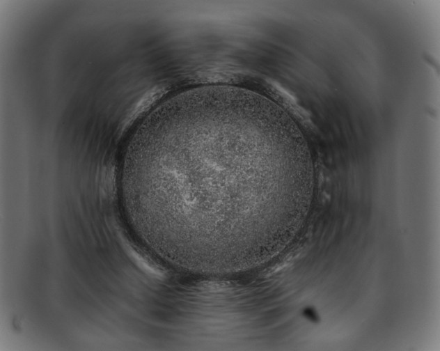 X0000092100250200709121549