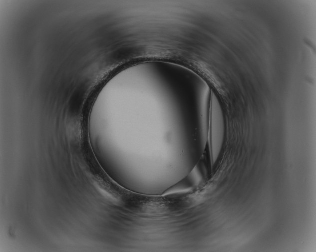 X0000092100252200709121549