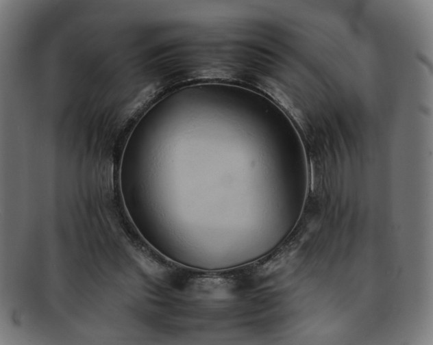 X0000092100253200709121549