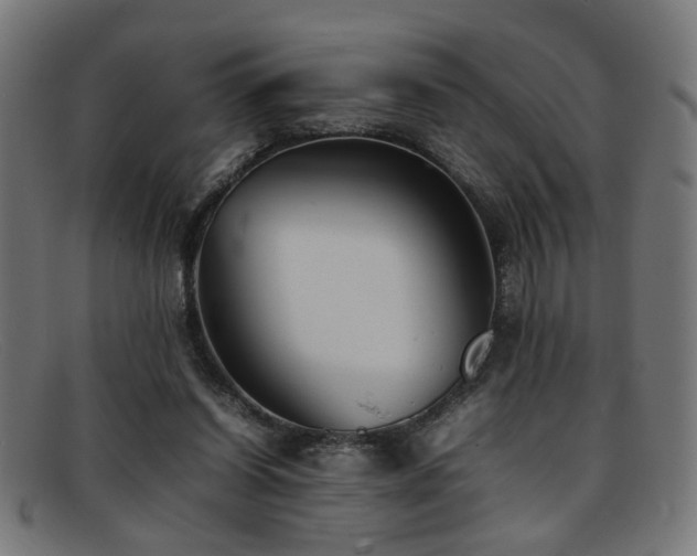 X0000092100254200709121549