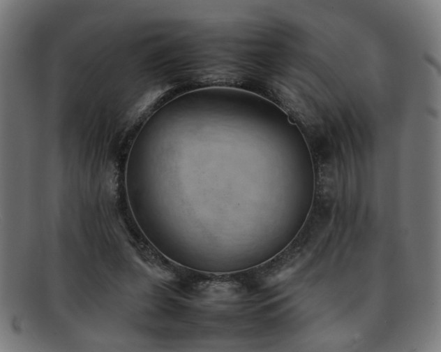 X0000092100255200709121549