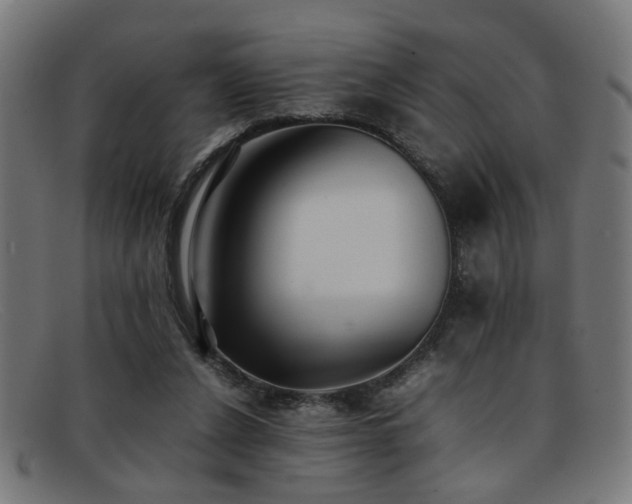 X0000092100256200709121549