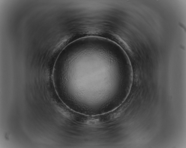 X0000092100257200709121549