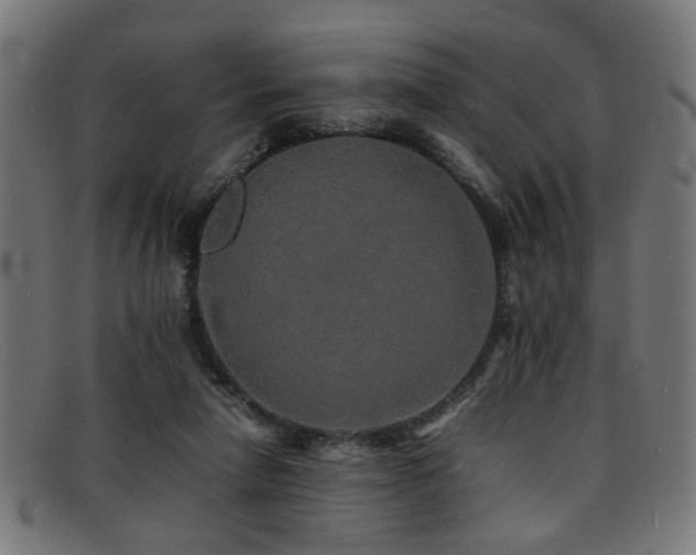 X0000092100258200709121549