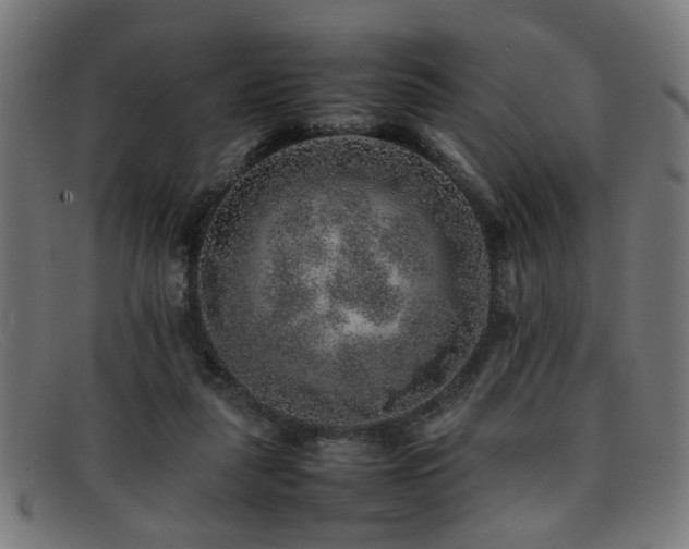 X0000092100259200709121549