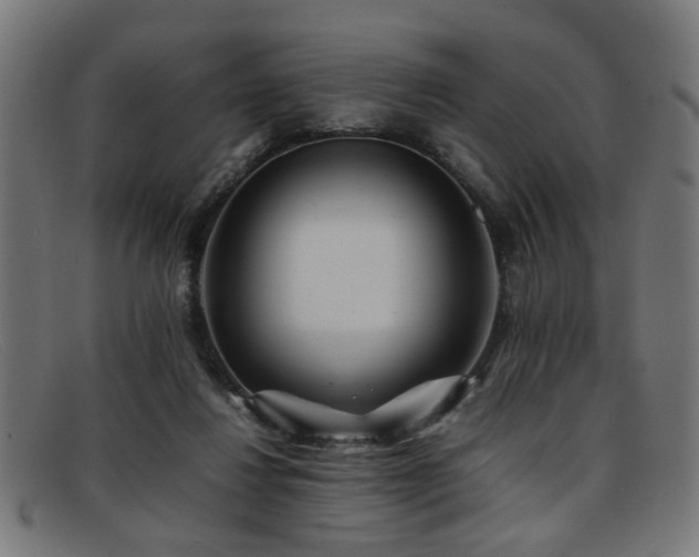 X0000092100260200709121549