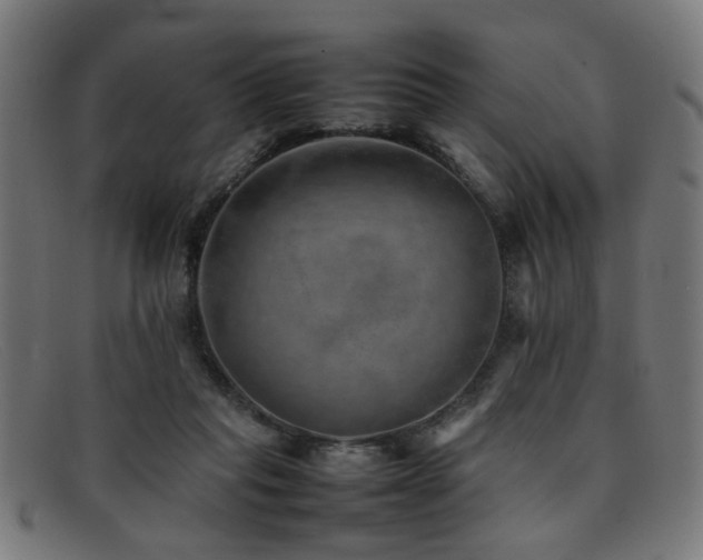 X0000092100261200709121549