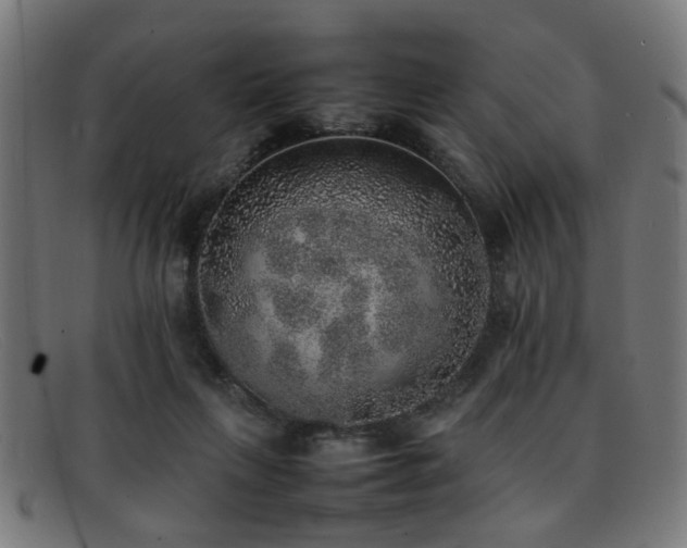 X0000092100263200709121550