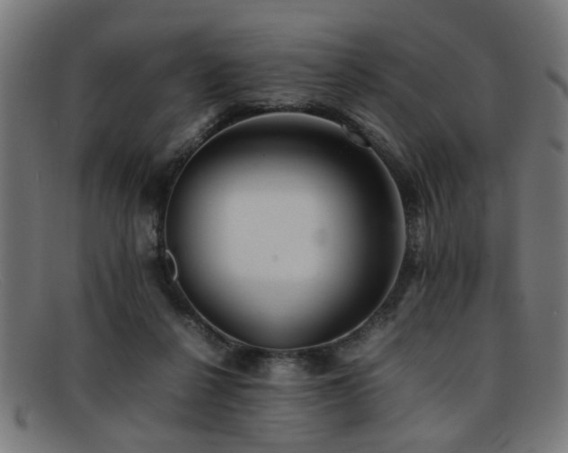 X0000092100264200709121550