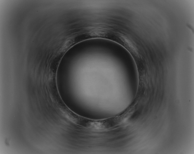 X0000092100265200709121550