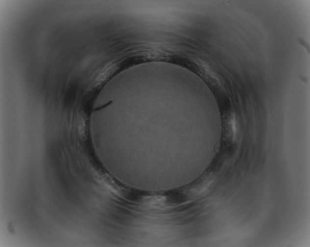 X0000092100266200709121550