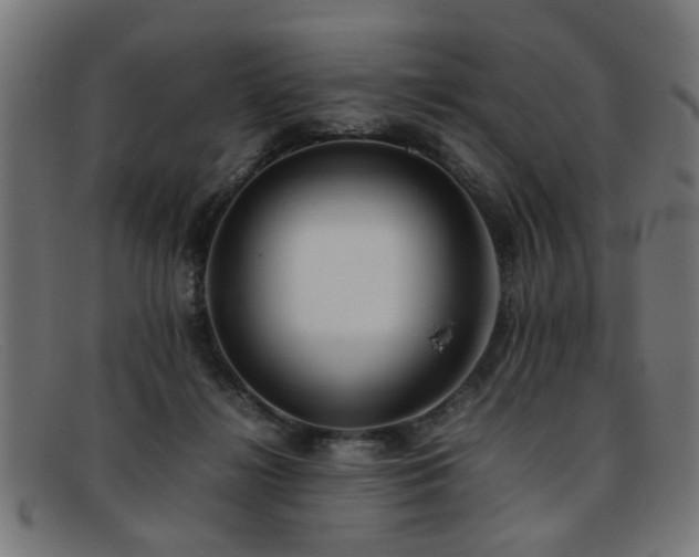 X0000092100268200709121550