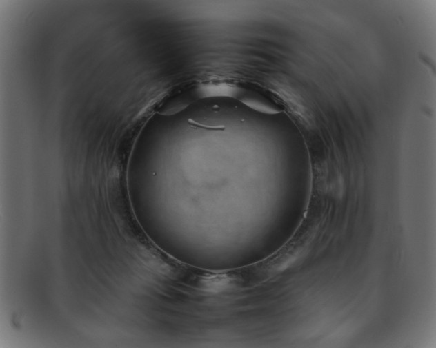 X0000092100269200709121550