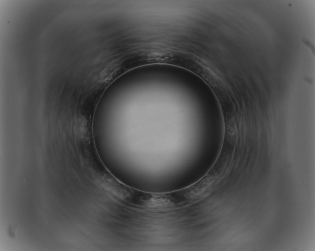 X0000092100270200709121550