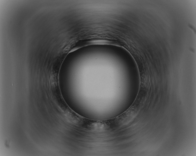 X0000092100272200709121550