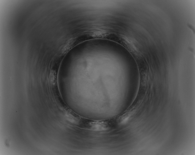 X0000092100273200709121550