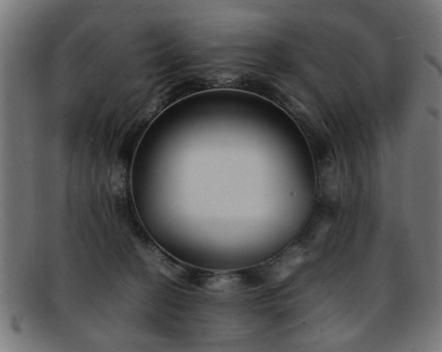 X0000092100274200709121550