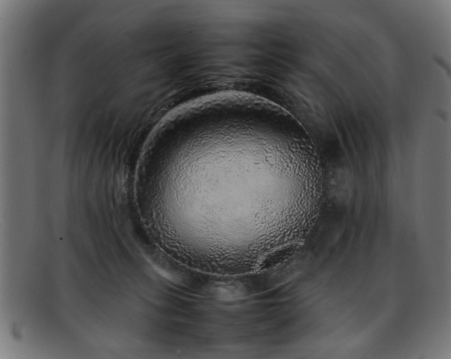 X0000092100275200709121550