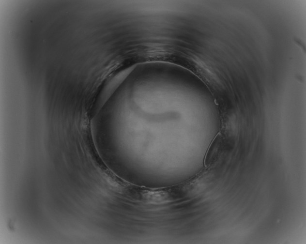 X0000092100277200709121550