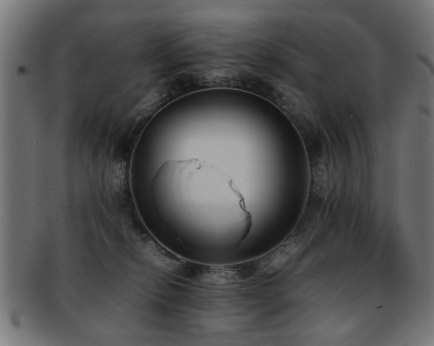 X0000092100278200709121550