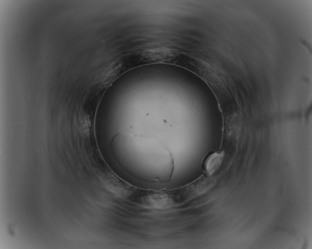 X0000092100279200709121550