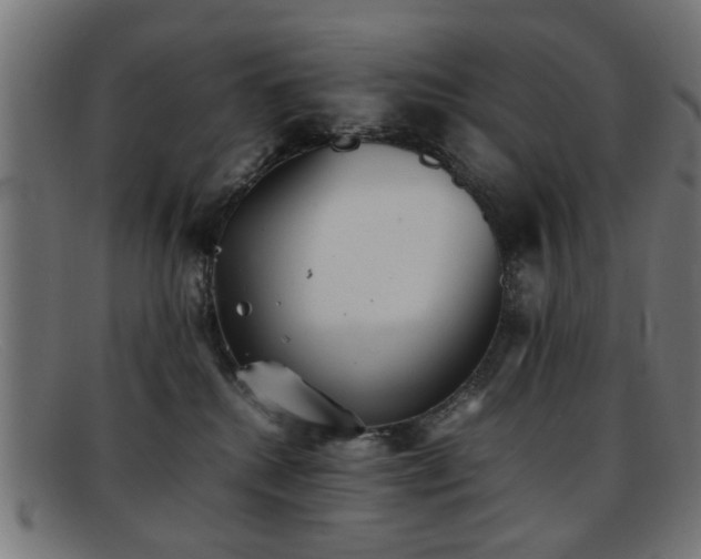 X0000092100280200709121550