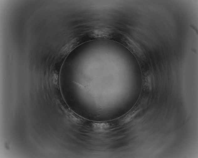 X0000092100281200709121550