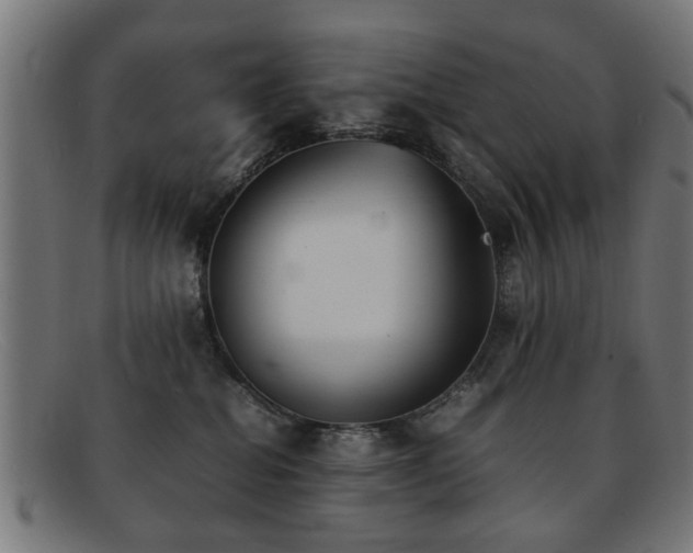 X0000092100282200709121550