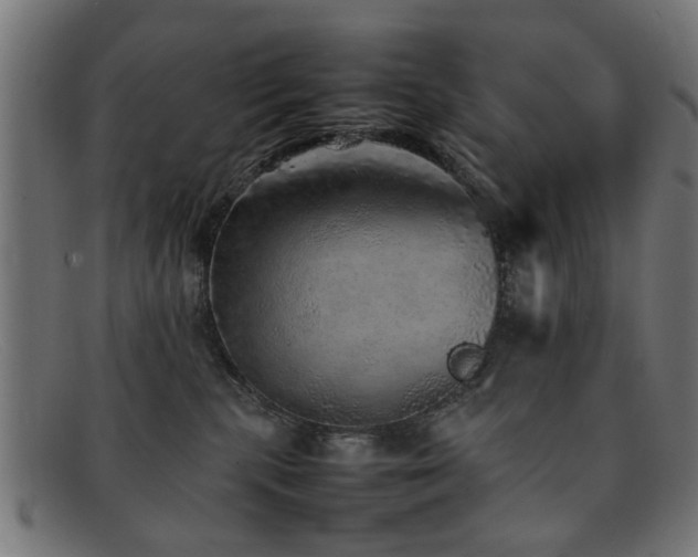 X0000092100283200709121550